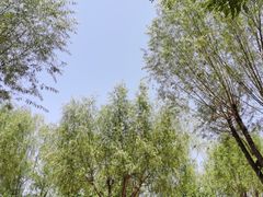 -天津方特欢乐世界