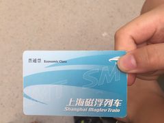 -龙阳路磁悬浮列车总站-停车场