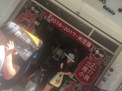 -柠檬车露(卖草地店)