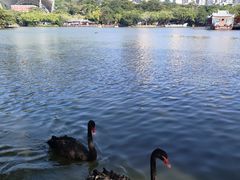 -珠海圆明新园