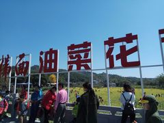 -红山村