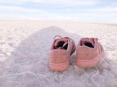 -乌尤尼盐沼