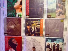 -树懒黑胶唱片店(中山路店)