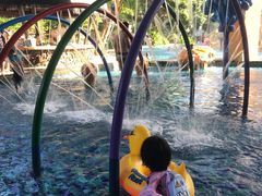 -亚马逊丛林水乐园