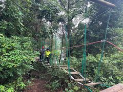 -芦仙山景区-飞越丛林探险乐园
