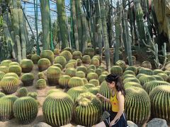 -南山植物园