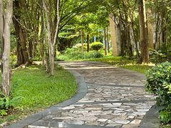 -深圳国际园林花卉博览园