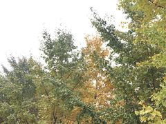 -汉景帝阳陵博物院