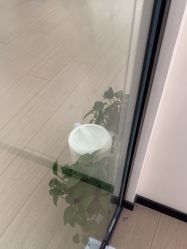 -SKIN79皮肤管理中心