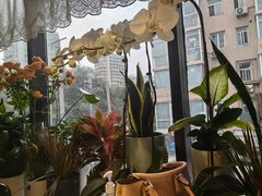 -懒人盐府人家(航天桥店)