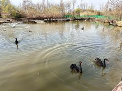 -溱湖国家湿地公园