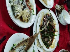 -蛇口康乐快餐鱼仔档(翠苑小区店)