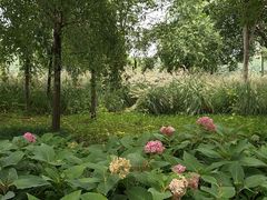 -汉长安城未央宫国家考古遗址公园