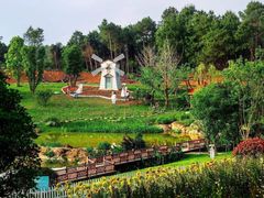 -铁山坪森林公园