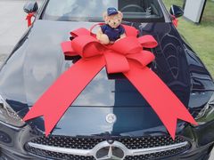 -上海星瀚奔驰4S店(红柳路店)