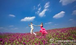 iphone_upload_pic-完美新娘婚纱摄影