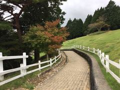 -神户市立六甲山牧场