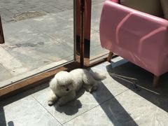 -全心全意连锁动物医院(石景山店)