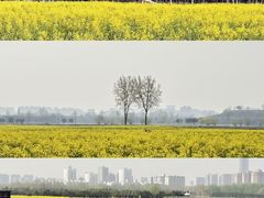 -汉长安城未央宫国家考古遗址公园