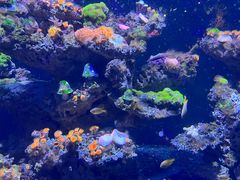 -海合安天津极地海洋公园