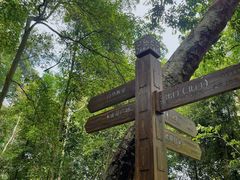 -南宁良凤江国家森林公园