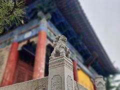 -西安大兴善寺
