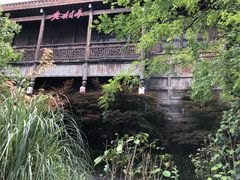 -武汉园博园(武汉自然博物馆)