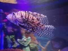 -沈阳海洋探索中心