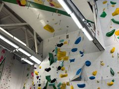 -绿壁虎攀岩基地(Tcar店)