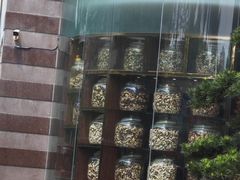 -凤凰楼酒家·粤宴点心(华强北店)