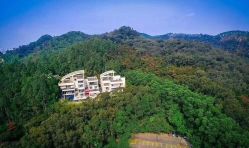 -禧月荟·爱丽馨月子中心(山庄店)