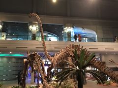 -自贡恐龙博物馆