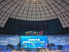 -泉城欧乐堡海洋极地世界