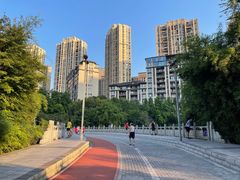 -龙头寺公园