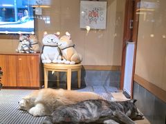 -大江户·温泉洗浴(浑南店)