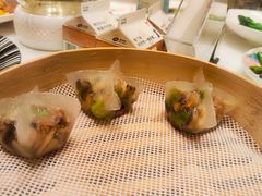 -金粤九号(李公堤店)
