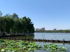-济南大明湖景区