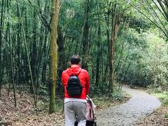-广州市石门国家森林公园
