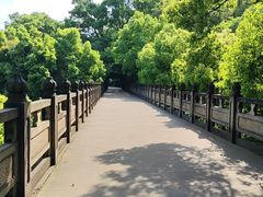-南山植物园