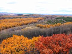 -塞罕坝国家级自然保护区