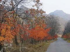 -大连天门山国家森林公园