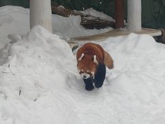 -栾川竹海野生动物园