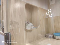 -屋虎猫馆(宝安大仟里店)
