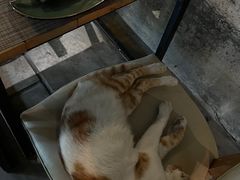 -喜洲吧·江畔老船厂·庭院餐厅(喜临院店)