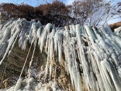 -少华山国家森林公园