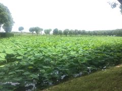 -上膳源有机农场