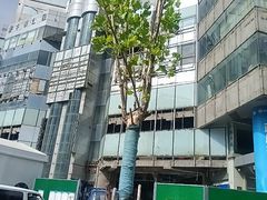 -苏宁易购(Suning Pro南京山西路店)
