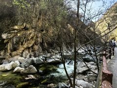 -秦岭风景区
