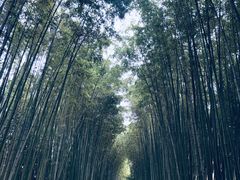 -上海市龙华烈士陵园