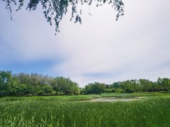 -北坞公园